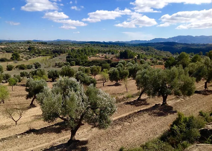 Lo Raconet De La Placa Apartahotel 3*